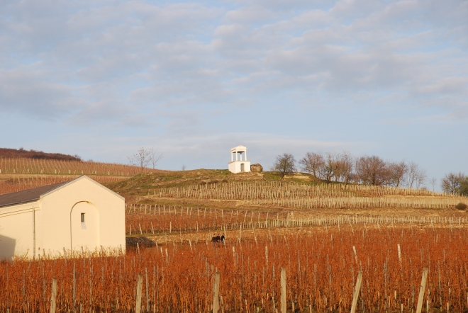 A téma Tokaj A téma Tokaj