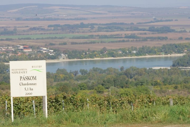 Hajók és borok Hajók és borok