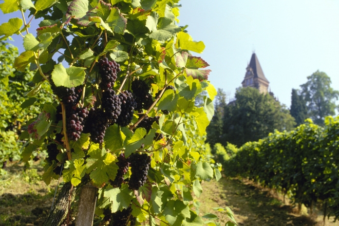 Harc az út ellen Harc az út ellen