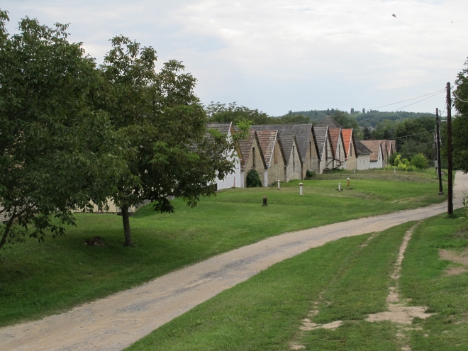 Györköny szőlősorai közt Györköny szőlősorai közt