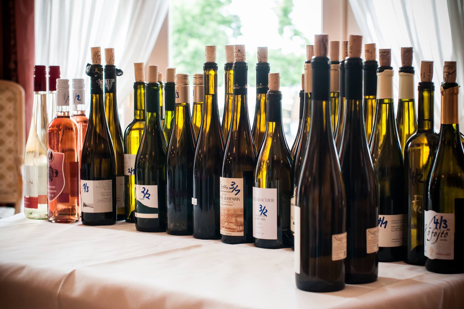 Somló, Somló... Somló, Somló...