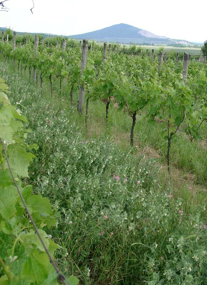 A kevesebb a végén többet ér A kevesebb a végén többet ér