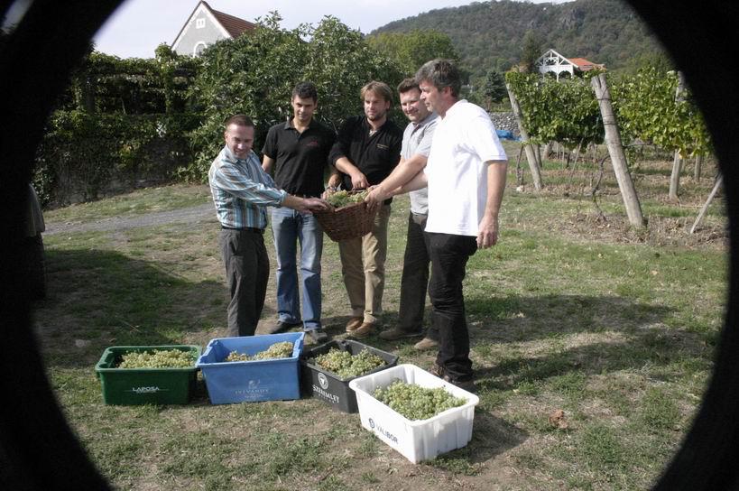 Felelősek vagyunk borvidékünk jövőjéért Felelősek vagyunk borvidékünk jövőjéért