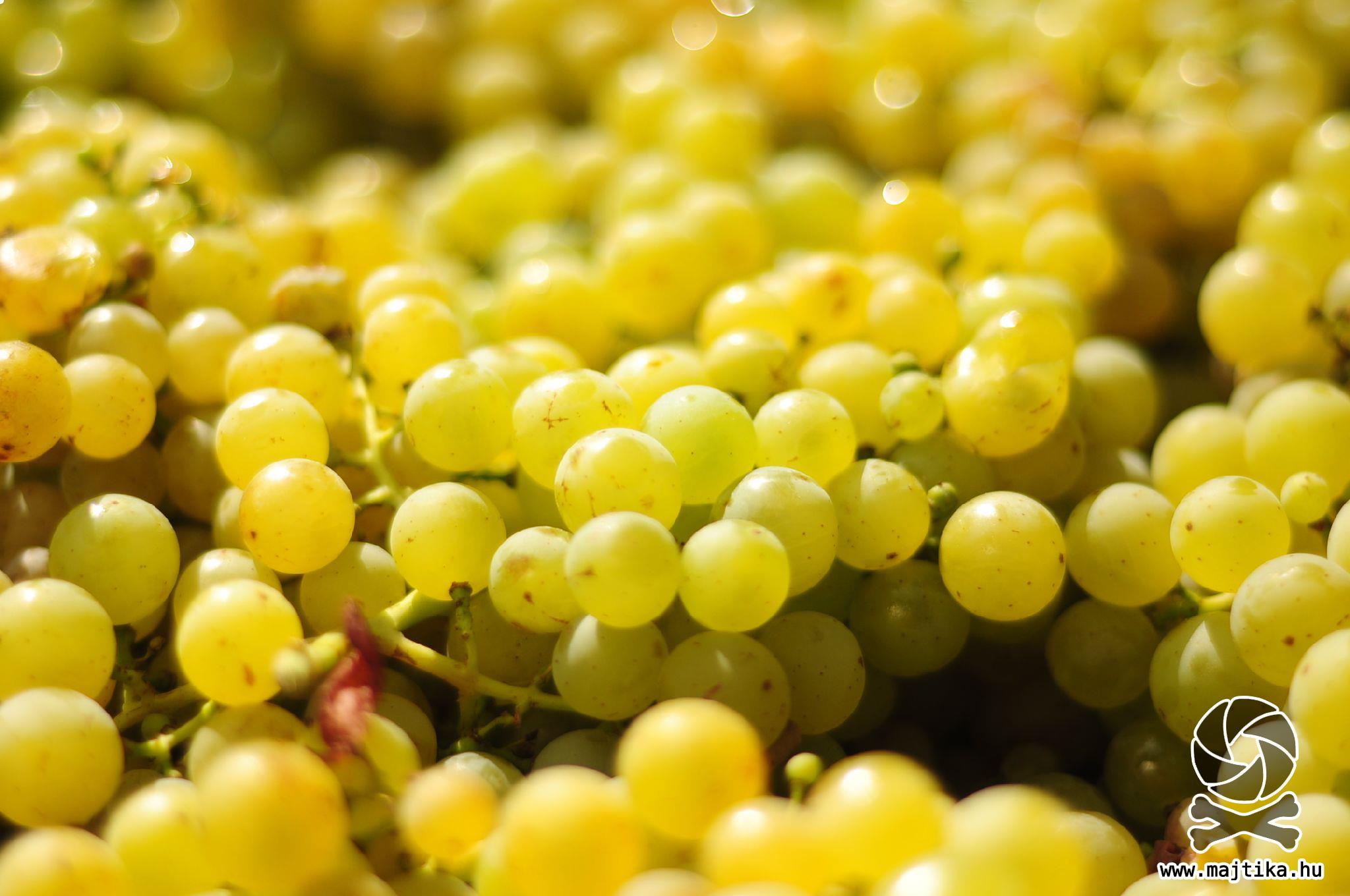 Etyeken fogadni a vendéget Etyeken fogadni a vendéget