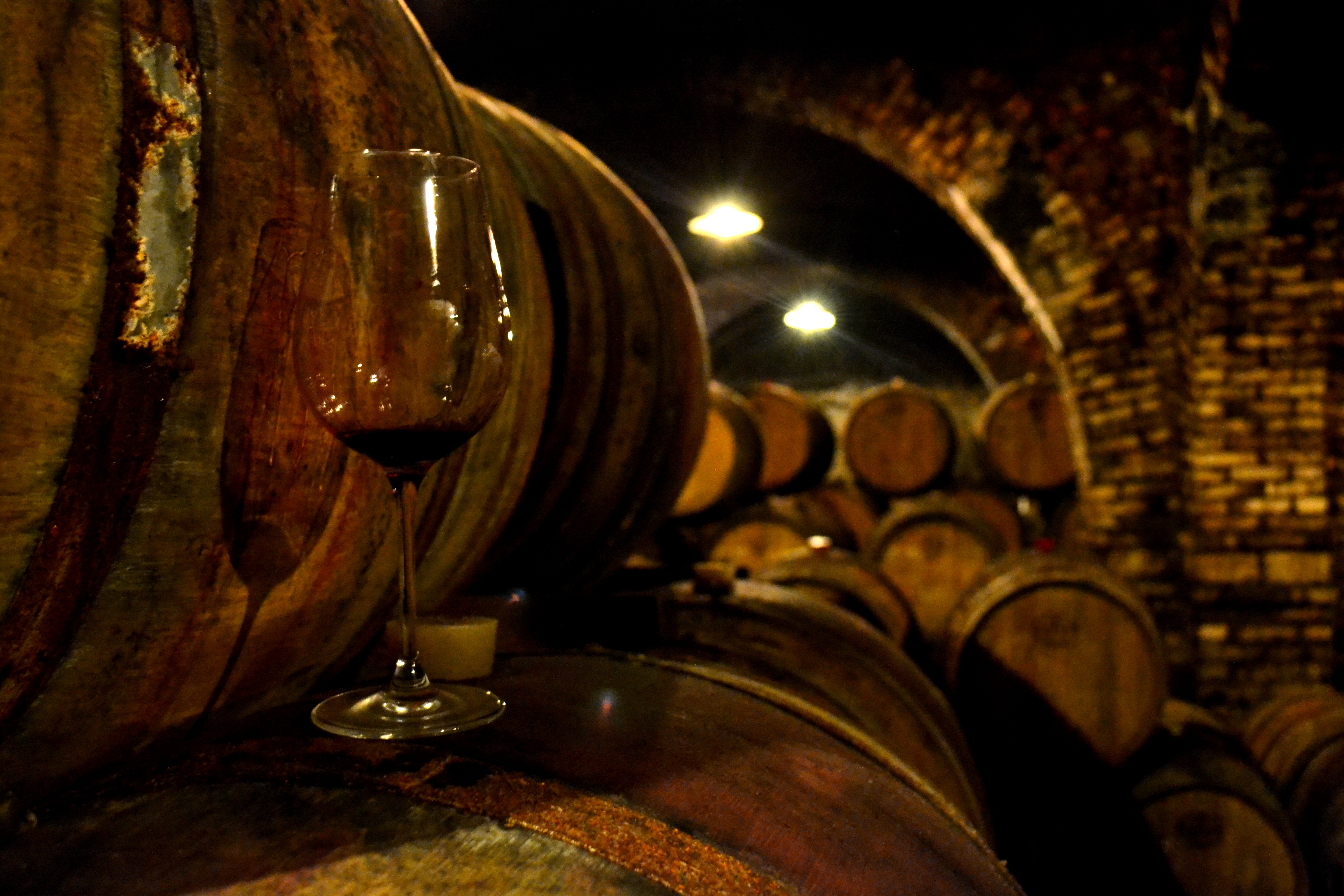 Syrah-ültetvény egy nemzeti parkban Syrah-ültetvény egy nemzeti parkban