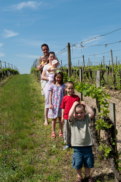 Ritmusképpel leírt bor Ritmusképpel leírt bor