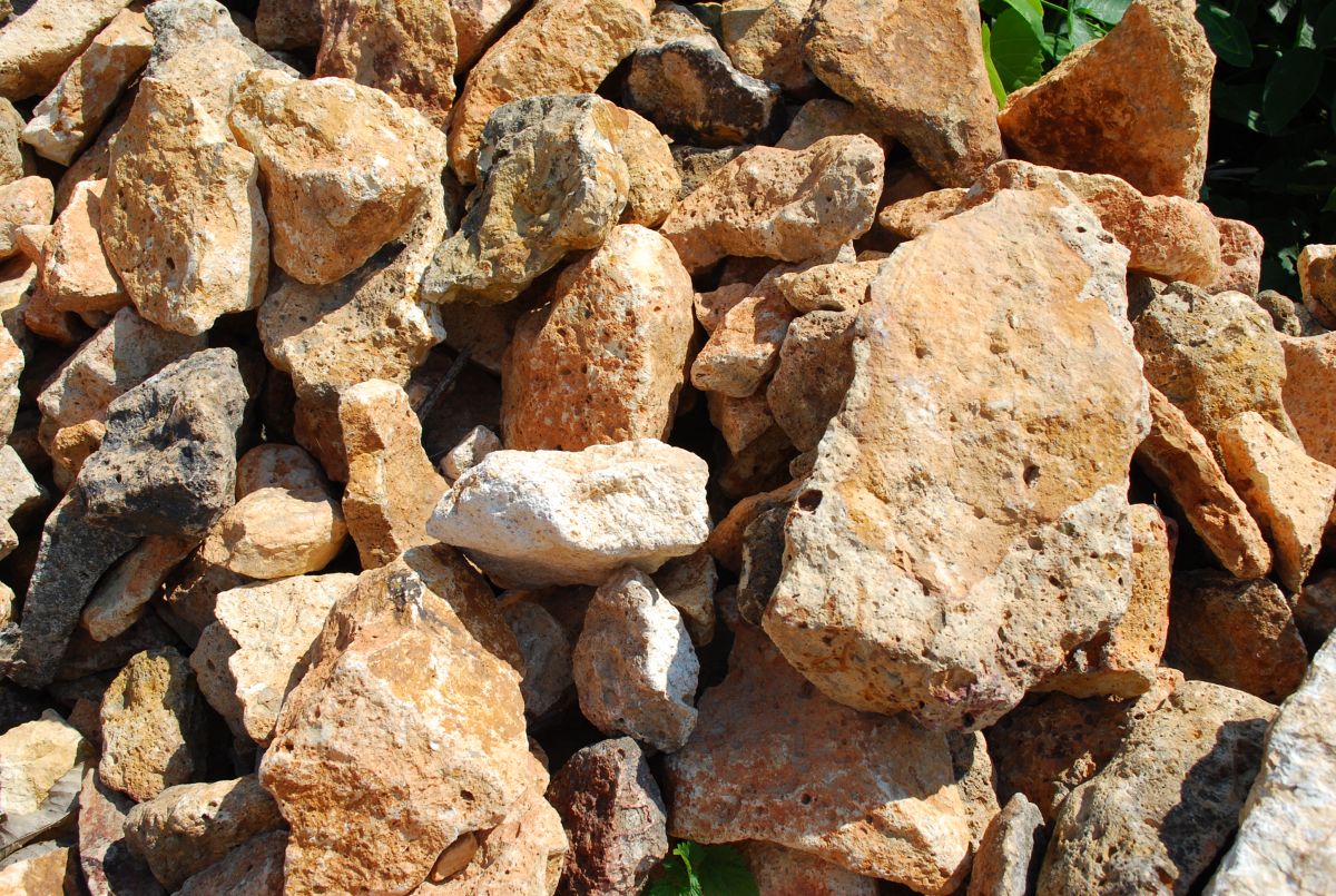 Tokaj Nyitány 2013 Tokaj Nyitány 2013