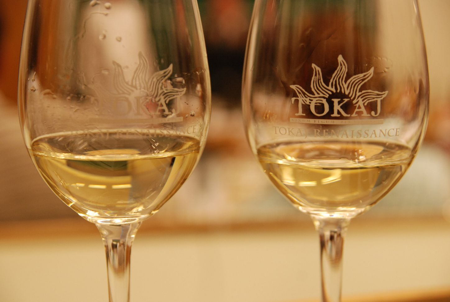 Tokaj Nyitány 2013 Tokaj Nyitány 2013