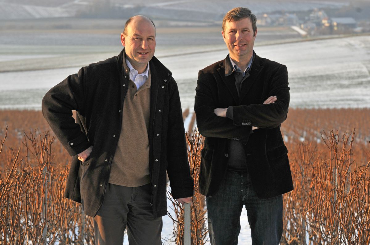 A blanc de blancs specialistája A blanc de blancs specialistája