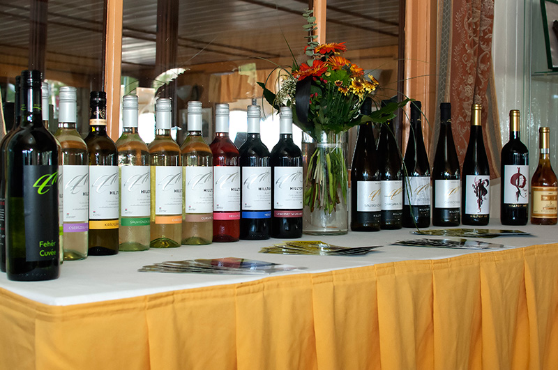 Fontossá válhat a sárga muskotály Fontossá válhat a sárga muskotály