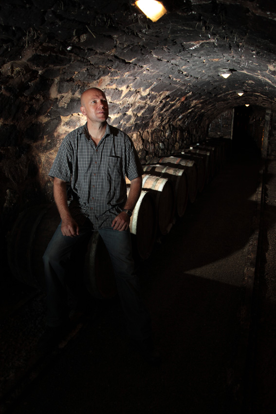 2009-es aszúk a Tokaj Nyitányon 2009-es aszúk a Tokaj Nyitányon
