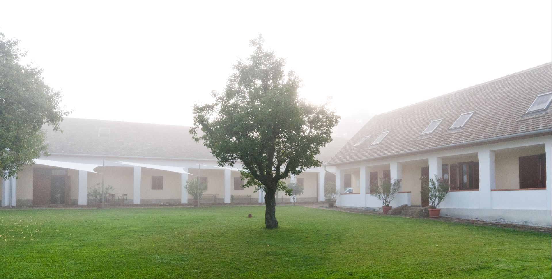 Komolyan veszik a portugiesert Komolyan veszik a portugiesert