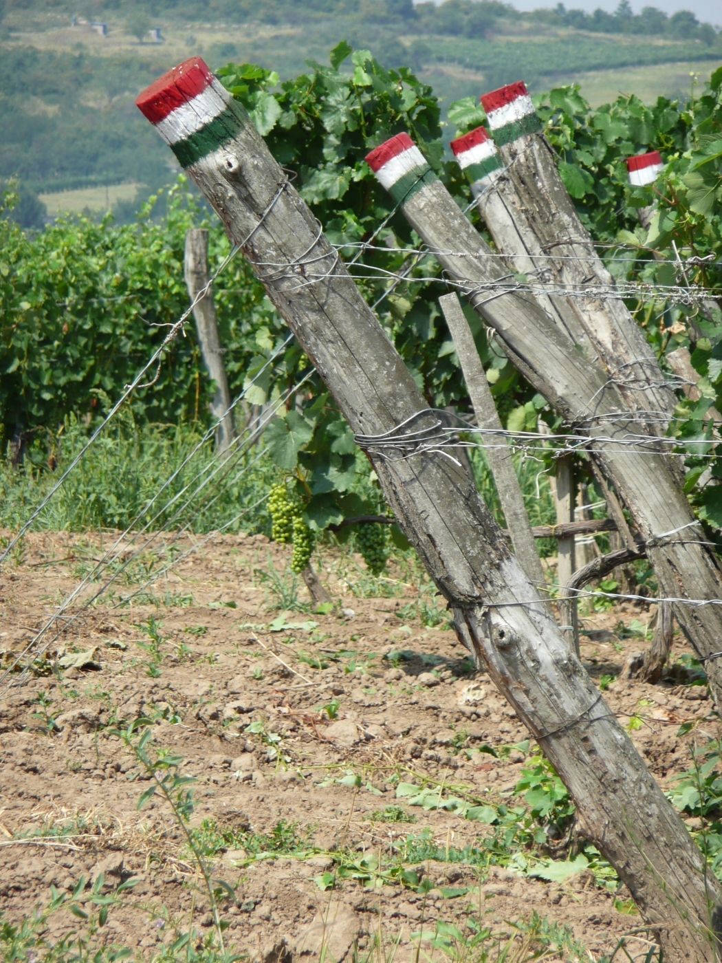 A megérzések embere vagyok A megérzések embere vagyok