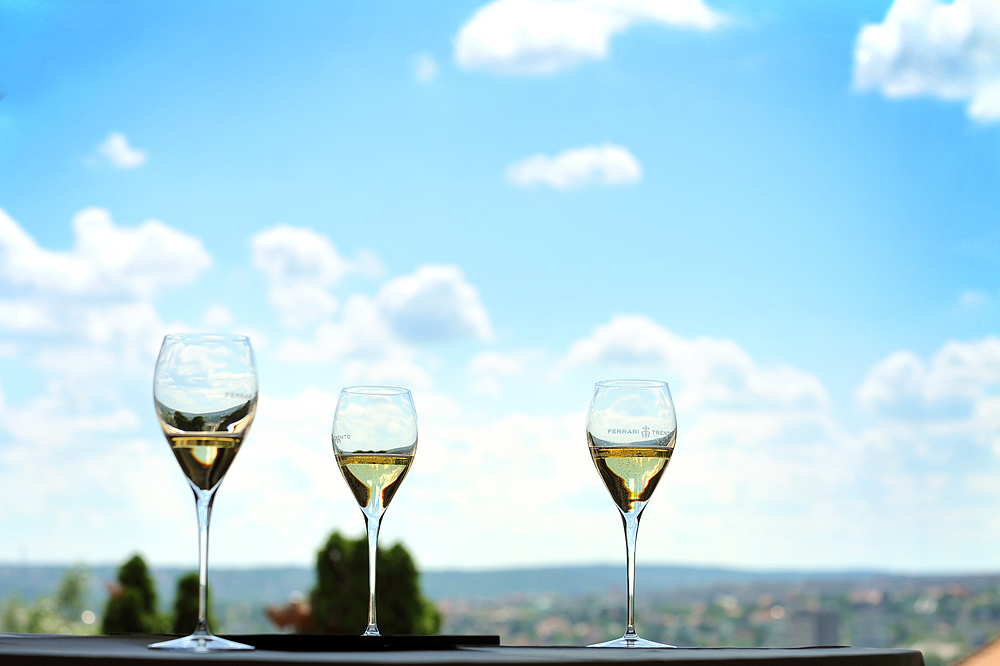 A pinot meunier specialistája A pinot meunier specialistája