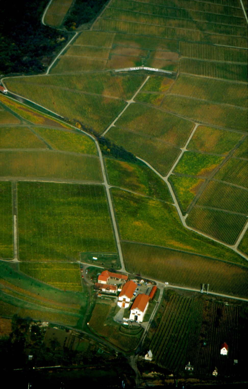 A Hétszőlő a Legszebb Szőlőbirtok A Hétszőlő a Legszebb Szőlőbirtok