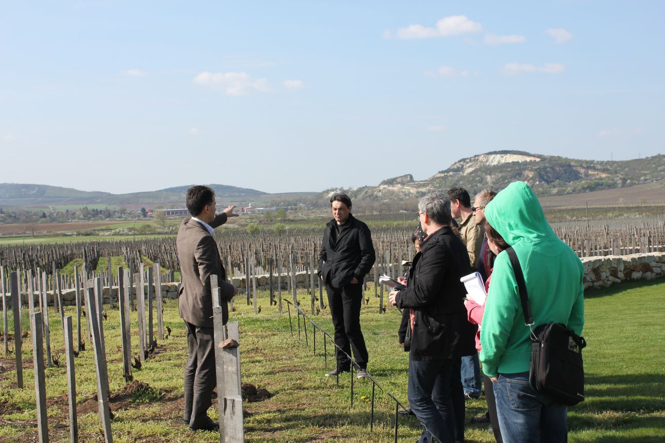 Nem csak az aszú? Nem csak az aszú?