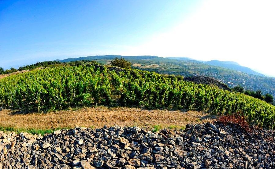 Meg kell szólítanunk a fiatalokat Meg kell szólítanunk a fiatalokat